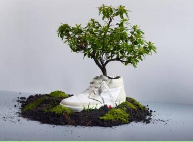 Scientists Have Developed a Water-Degradable Shoe