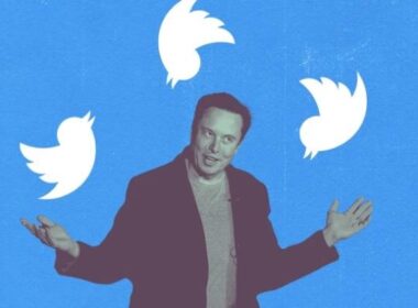 Elon Musk Planning Vine Reboot