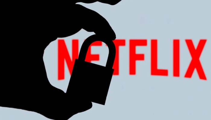 Netflix stop account Password Sharing
