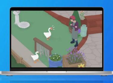 Goose Game Rejected Twice by Apple