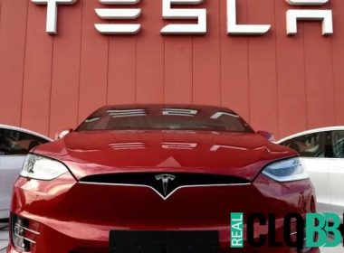 Tesla market share 2023