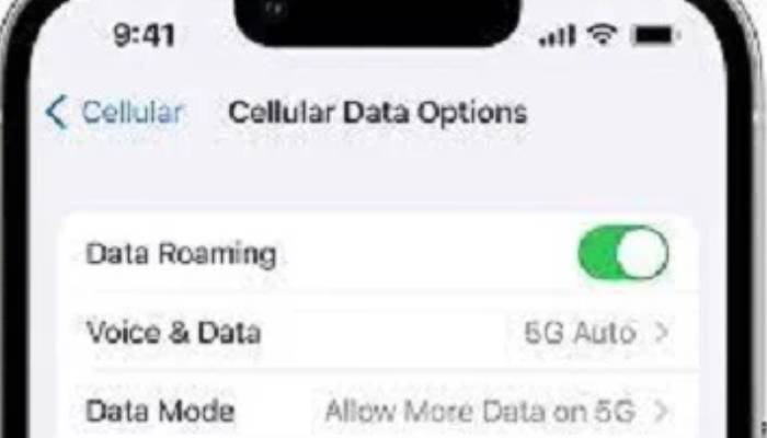 7: Enable Data Roaming to Fix SOS Only on iPhone
