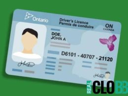 Ontario car theft license suspension