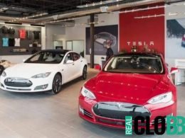 Tesla layoffs software service