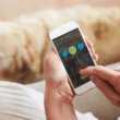 pet ai app