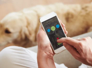 pet ai app