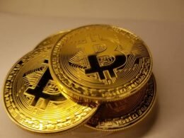 btc education