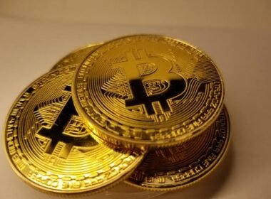btc education